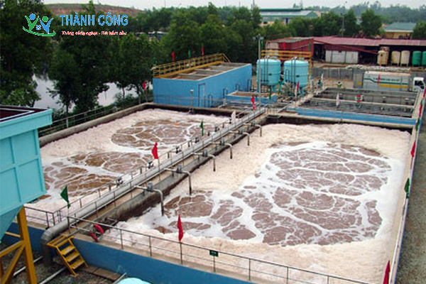 Vai trò của vi sinh vật trong xử lý nước thải khu công nghiệp